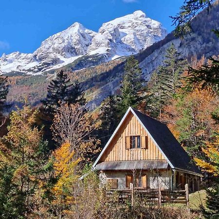 Cozy Private Cabin In The Heart Of Triglav National Park ترينتا المظهر الخارجي الصورة